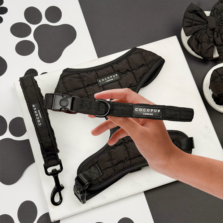 Onyx Quilted Adjustable Neck Harness, Lead & Collar Bundle