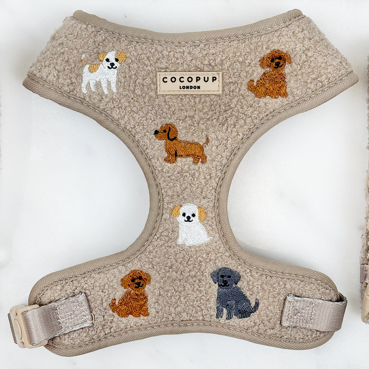 Ralph & Friends Mocha Teddy Adjustable Neck HARNESS