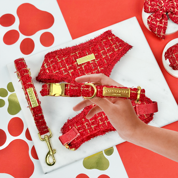 Red Textured Tweed Adjustable Neck Harness, Lead & Collar Bundle