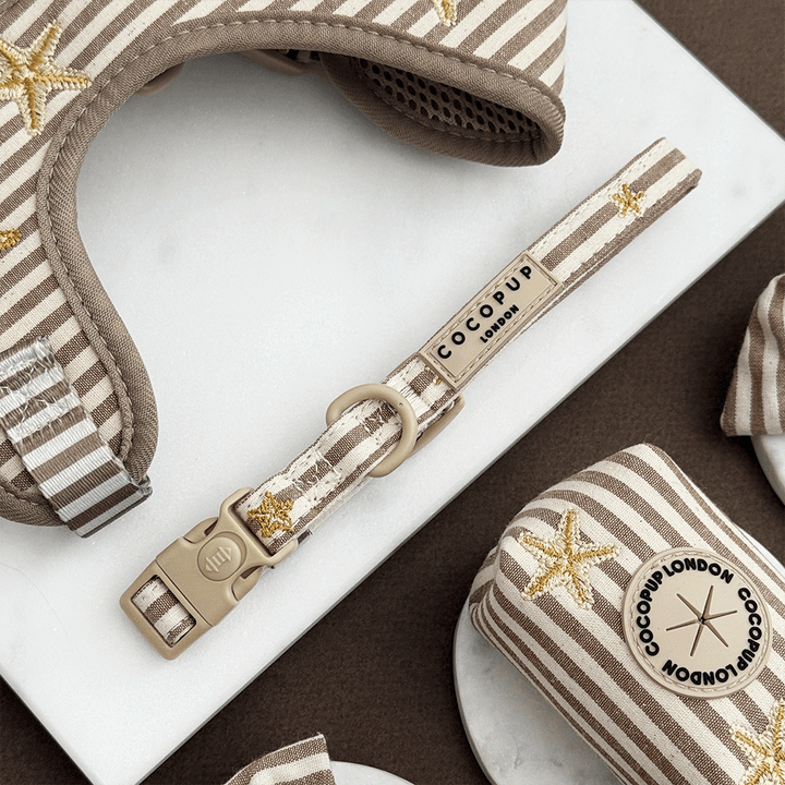 Sandy Starpaws COLLAR