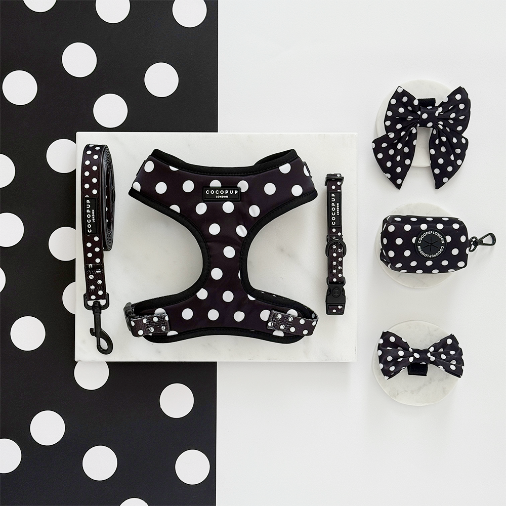 Satin Polka Dot Adjustable Neck Harness, Lead & Collar Bundle