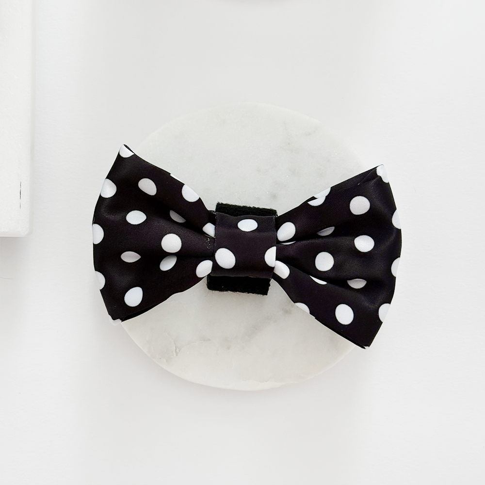 Satin Polka Dot Bow Tie