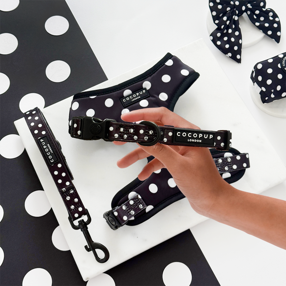 Satin Polka Dot Adjustable Neck Harness, Lead & Collar Bundle