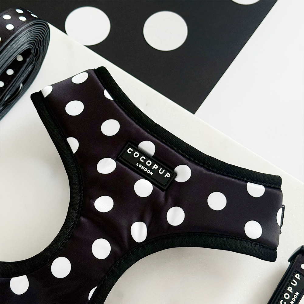 Satin Polka Dot Adjustable Neck Harness, Lead & Collar Bundle