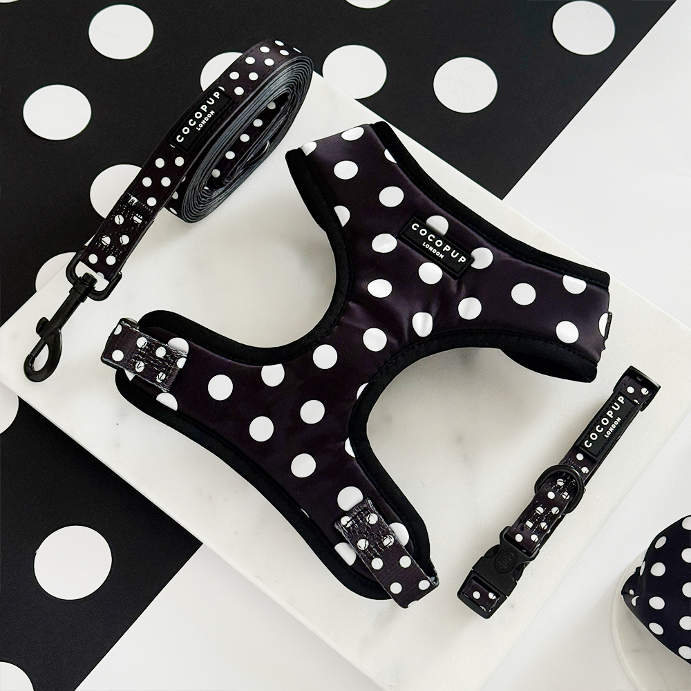 Satin Polka Dot Lead