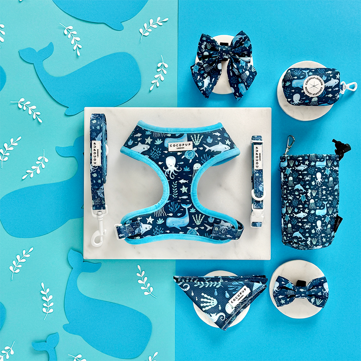 Sea Life Pawty COLLAR