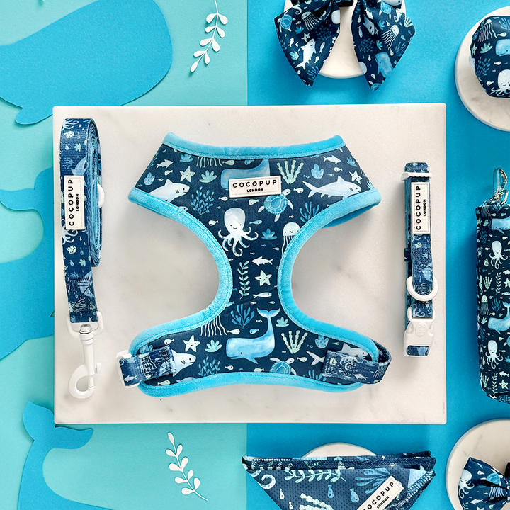 Sea Life Pawty Adjustable Neck Harness, Lead & Collar Bundle
