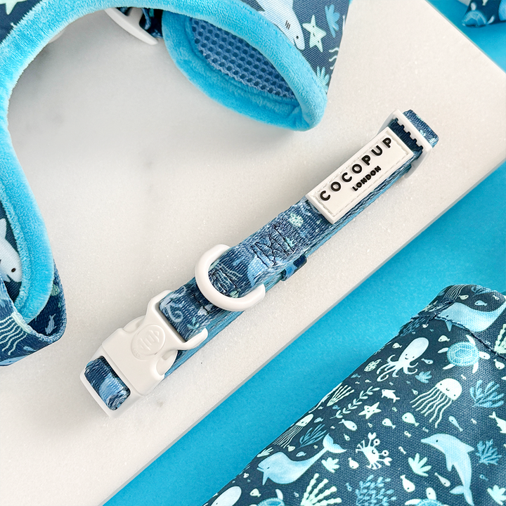 Sea Life Pawty Adjustable Neck Harness, Lead & Collar Bundle