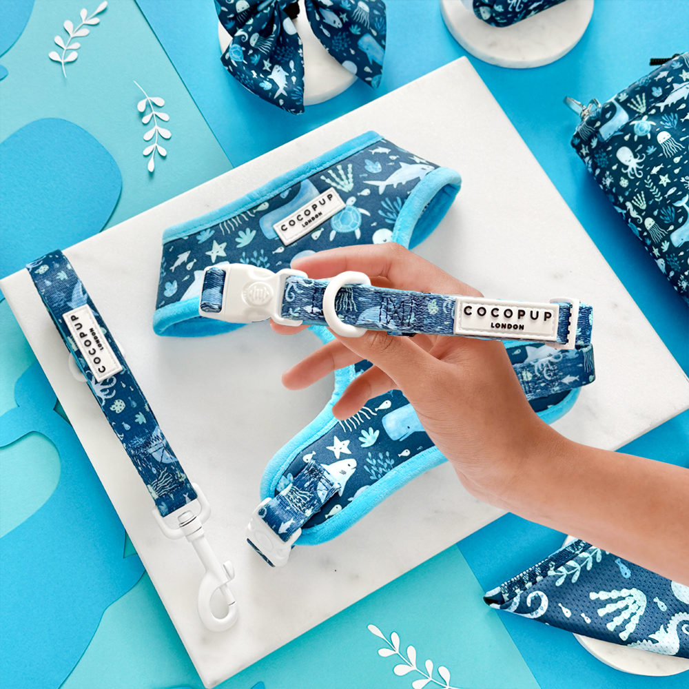 Sea Life Pawty Adjustable Neck Harness, Lead & Collar Bundle