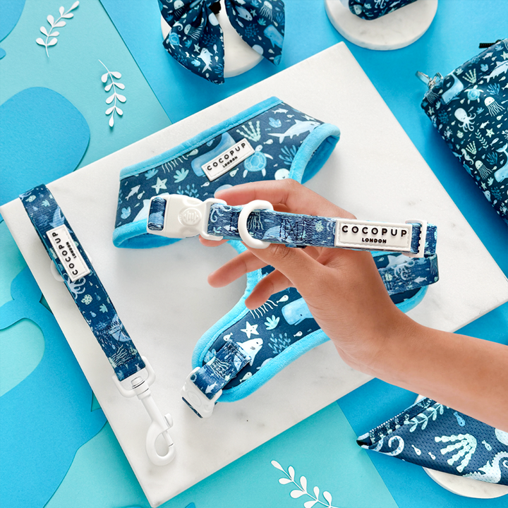 Sea Life Pawty Adjustable Neck Harness, Lead & Collar Bundle