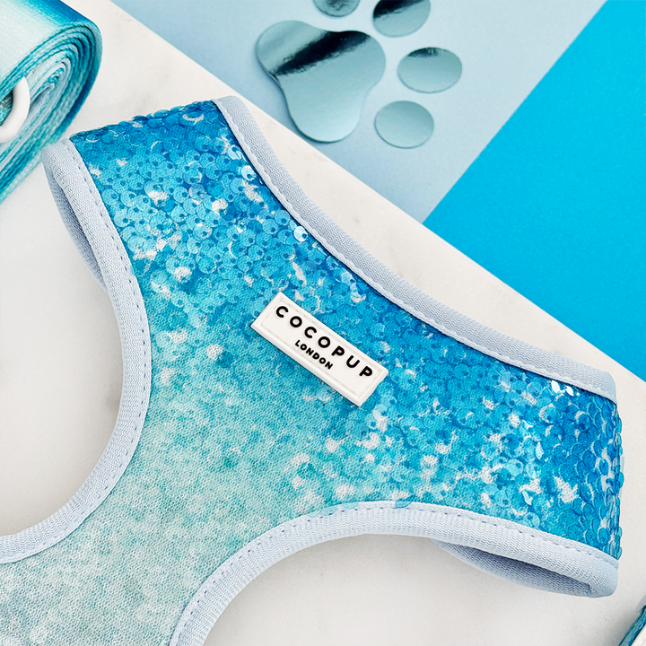 Seaside Shimmer Adjustable Neck Harness, Lead & Collar Bundle