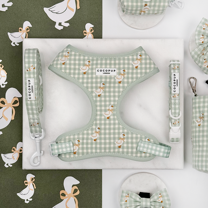 Green and white check print dog harness, collar and lead with embroidered geese design.