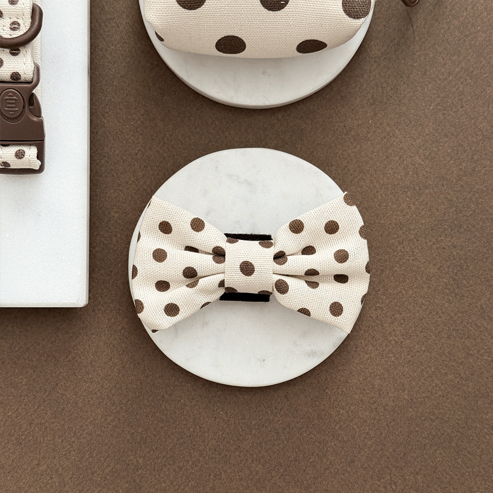 Polka dot bow tie on a marble surface with a brown background