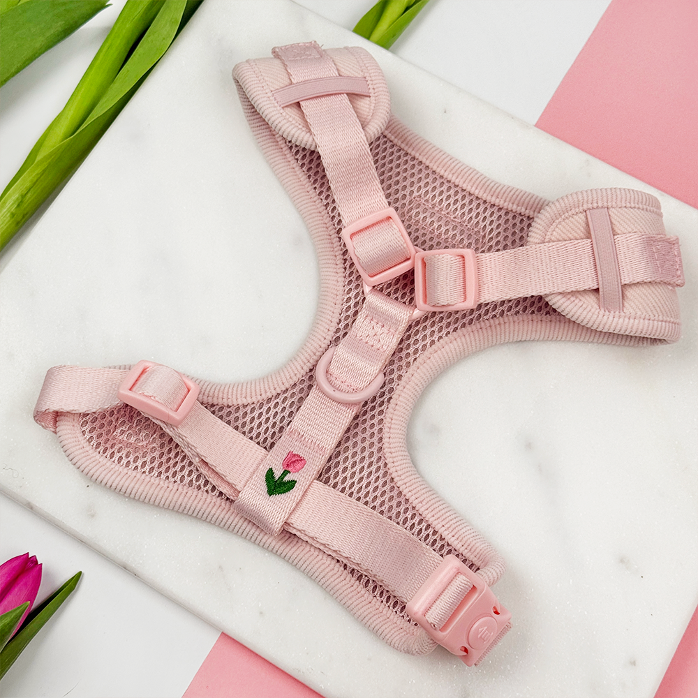 Pink dog harness showing the reverse side. Pink buckle and d ring attachment.