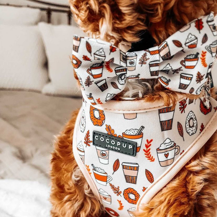 Autumn Puppuccino Bow Tie