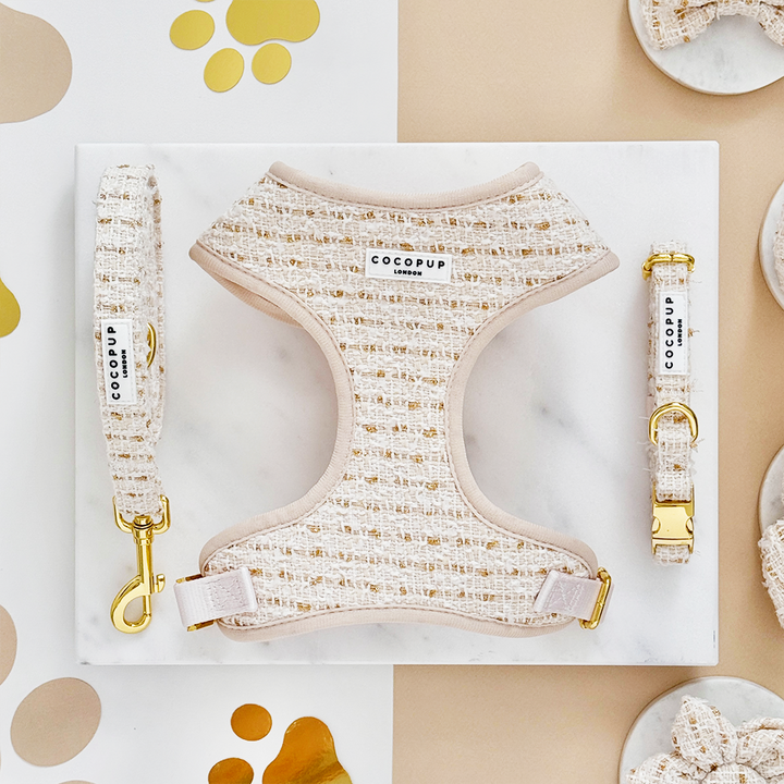 Vanilla Textured Tweed Adjustable Neck Harness, Lead & Collar Bundle