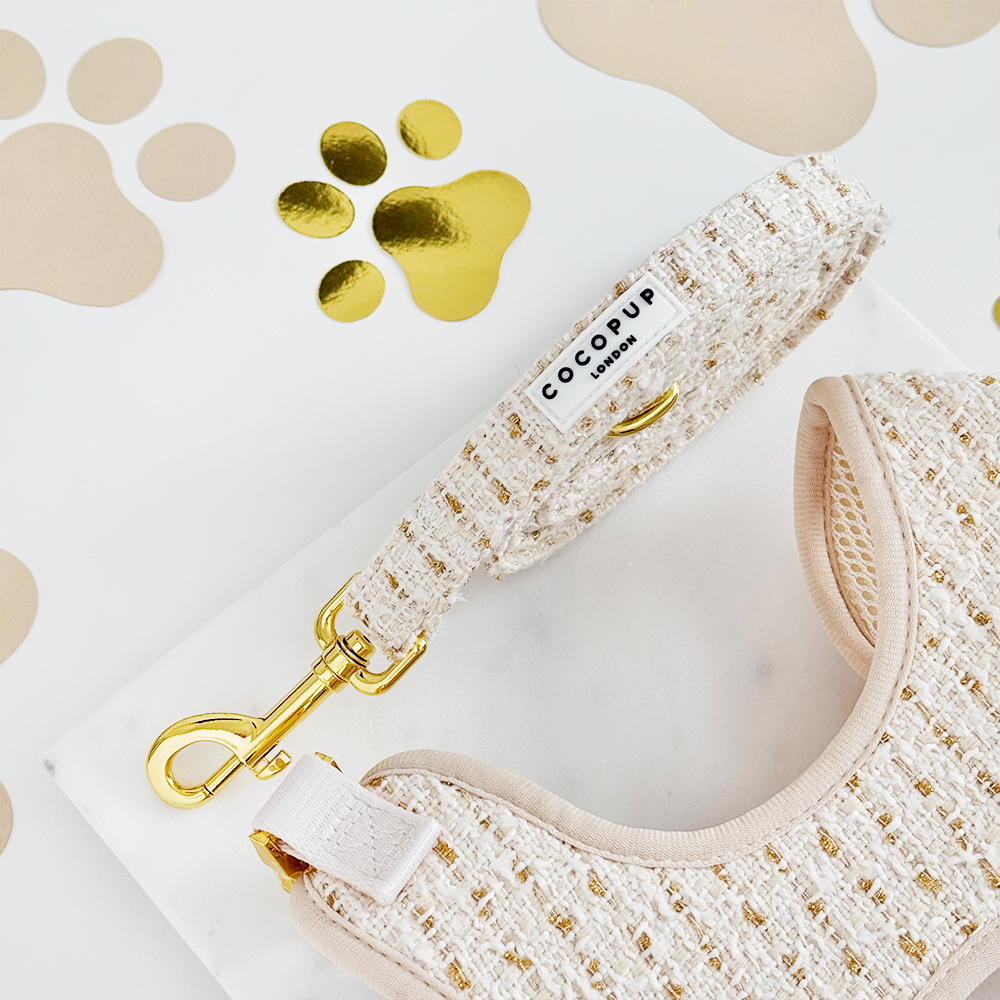 Vanilla Textured Tweed Adjustable Neck Harness, Lead & Collar Bundle
