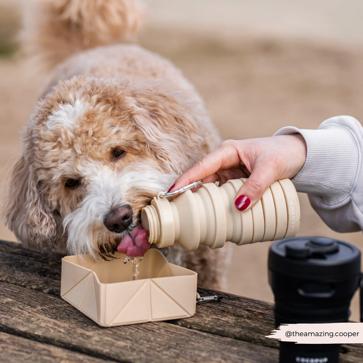 Bag Accessory Bundle - Nude