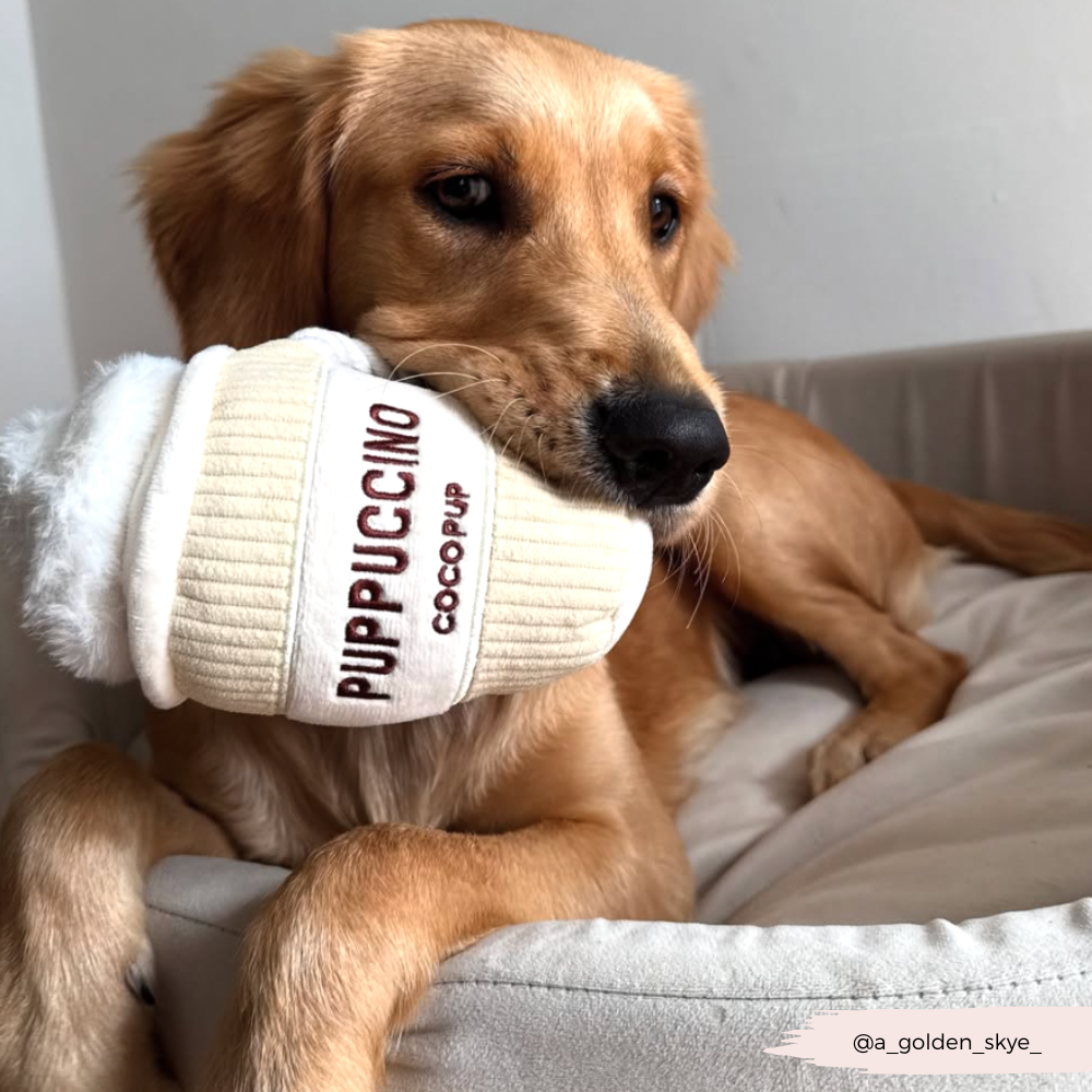 Puppuccino Dog Toy