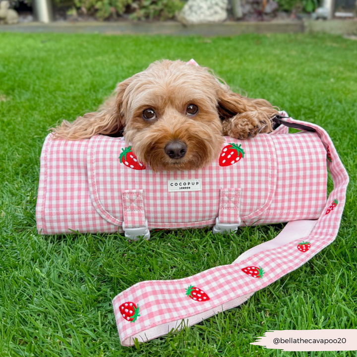 Travel Mat - Strawberry Picnic Pup