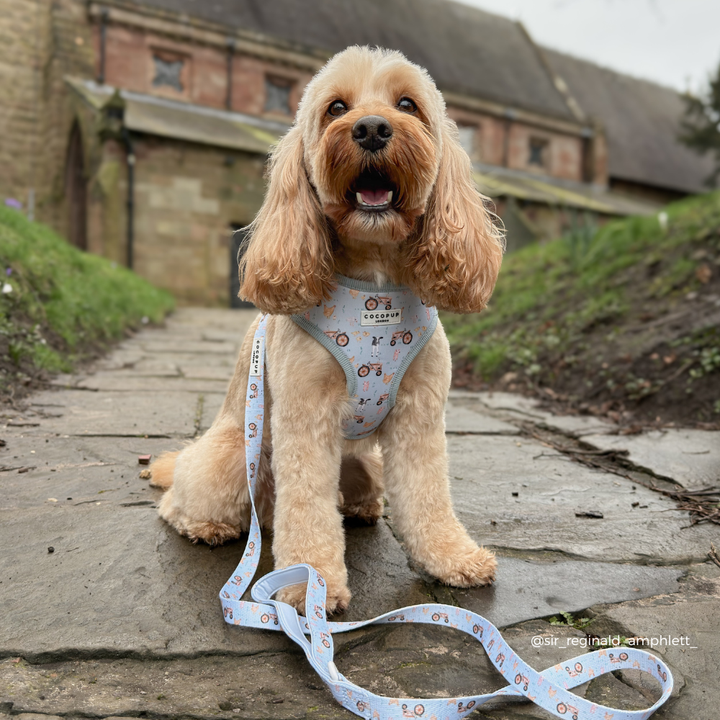 Barnyard Buddies Adjustable Neck HARNESS