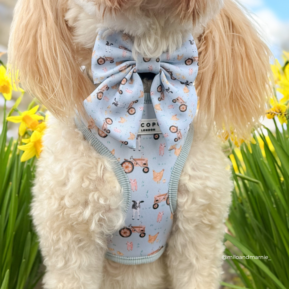 Barnyard Buddies Sailor Bow Tie
