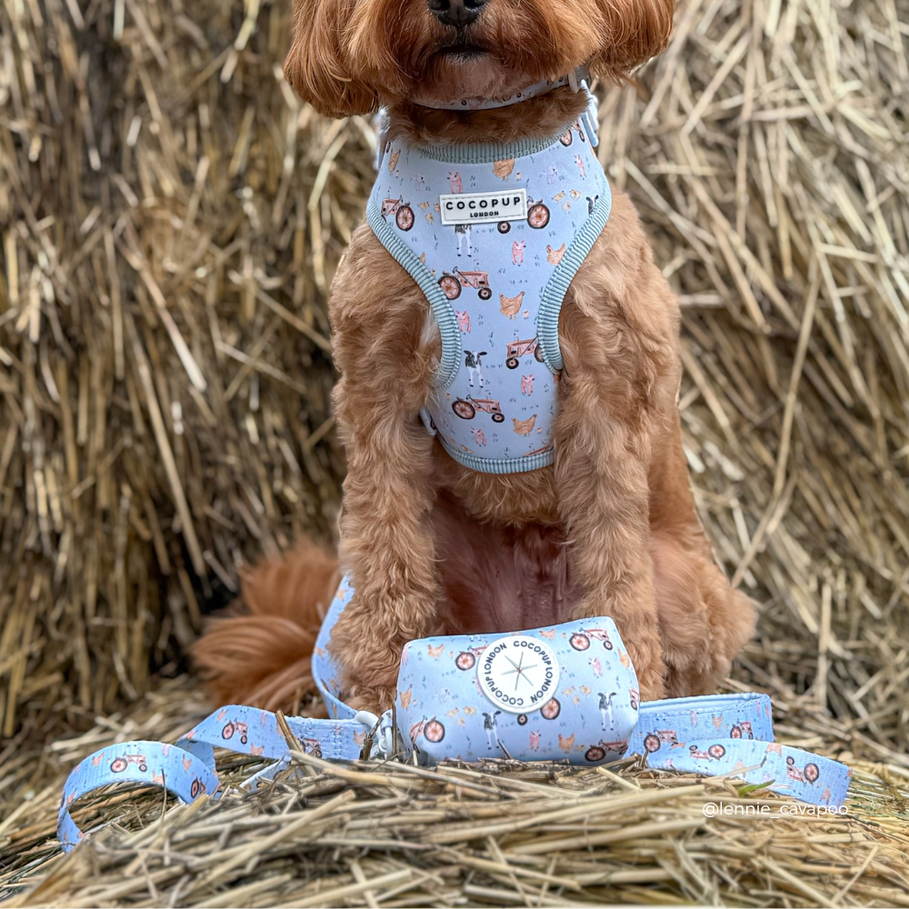 Barnyard Buddies Adjustable Neck HARNESS