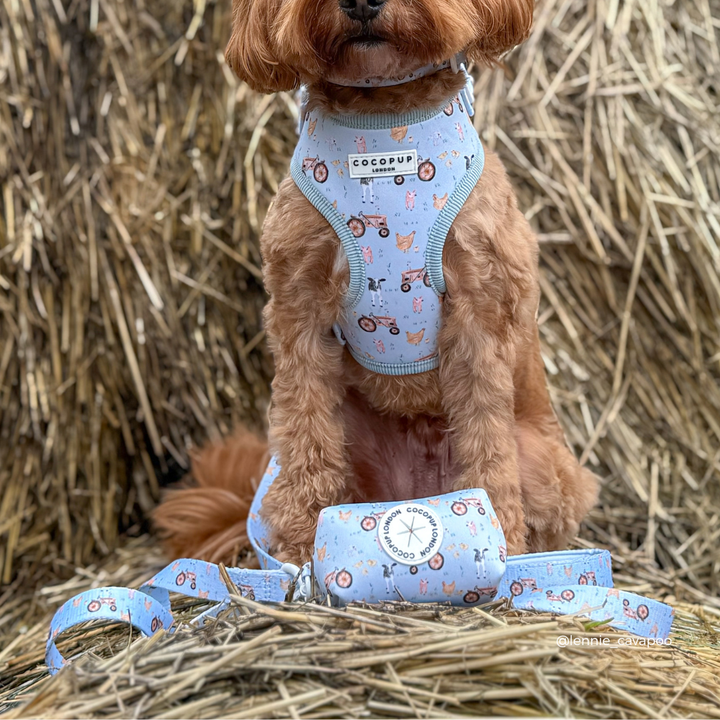 Barnyard Buddies Adjustable Neck HARNESS