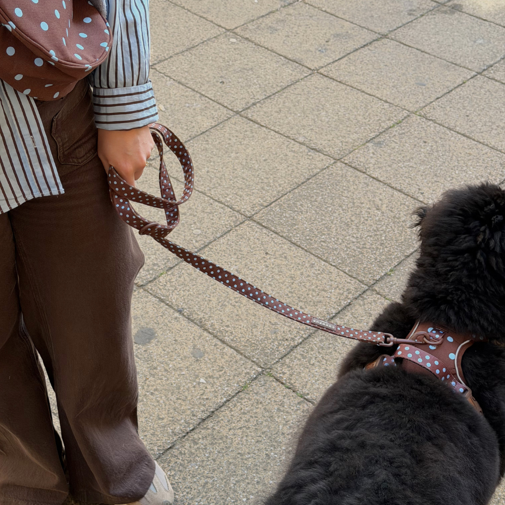 A person wearing a striped shirt and brown pants holds a brown polka-dot leash attached to a black dog wearing a matching harness on a paved outdoor walkway.