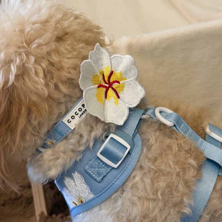 Blue Lagoon Collar Flower