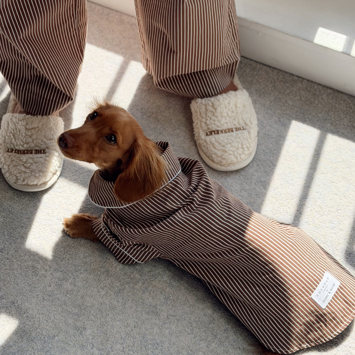 A small brown dachshund wearing a brown and white vertically striped pet pjs lies on a gray carpet, with a person's legs and cream slippers visible nearby.
