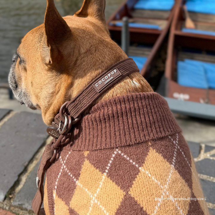 Brown ribbed dog collar with Cocopup logo badge.