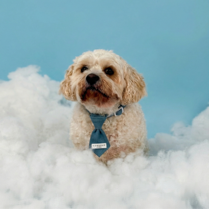 Cloud Nine Dog Tie