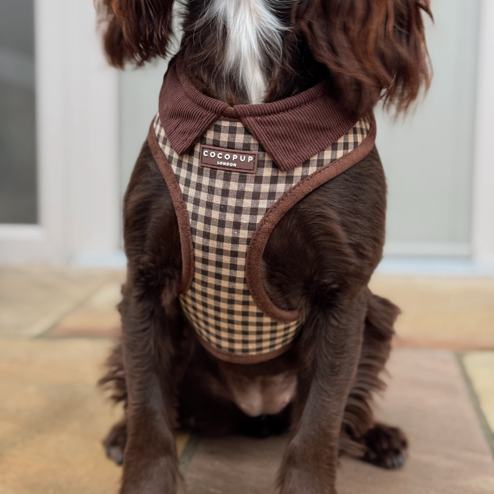 Cotswold Check Adjustable Neck HARNESS