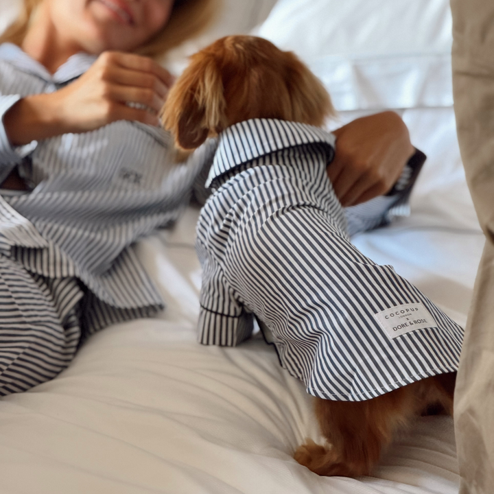 A small brown dog wearing a navy and white striped long-sleeve shirt with a collar, lying on a white bed next to a woman in matching striped pajamas. A brand label on the back