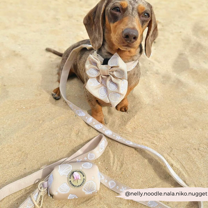 Luxe Seashells Sailor Bow Tie