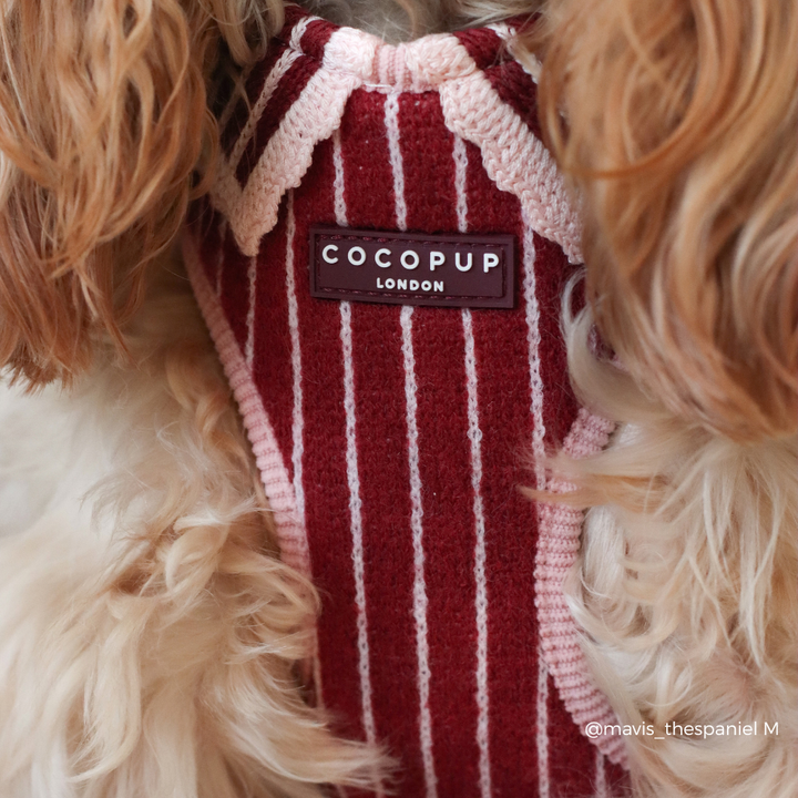 A close-up of a dog wearing a red and white vertically striped knit sweater vest with a brown brand label reading 'COCOPUP LONDON'.
