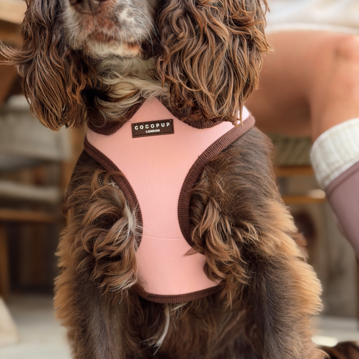 A close-up of a brown long-haired dog wearing a pink dog harness with dark brown trim. The brand label on the chest reads 'Cocopup London'.