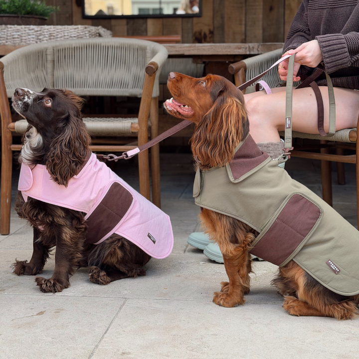 Two dogs wearing dog jackets in an outdoor patio setting. One dog wears a light pink dog jacket, and the other wears an olive green dog jacket with brown panels.