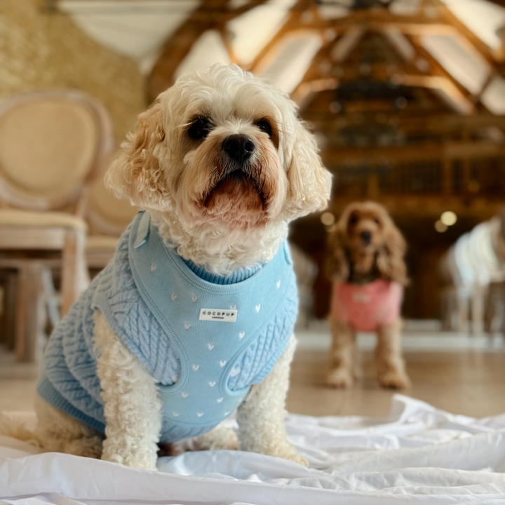 Jumper - Cable Knit Blue Heartstrings