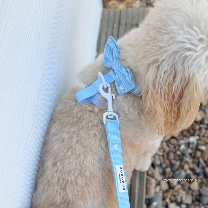 Blue Heartstrings Cord Bow Tie
