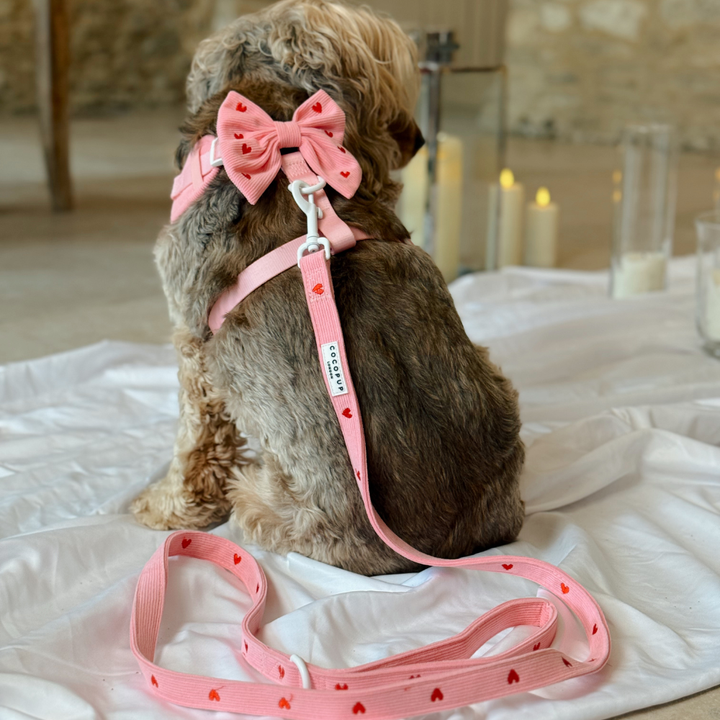 Pink Heartstrings Cord Sailor Bow Tie