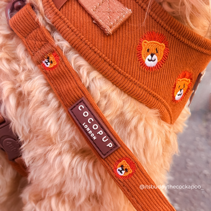 Leo the Lion Adjustable Neck Harness, Lead & Collar Bundle