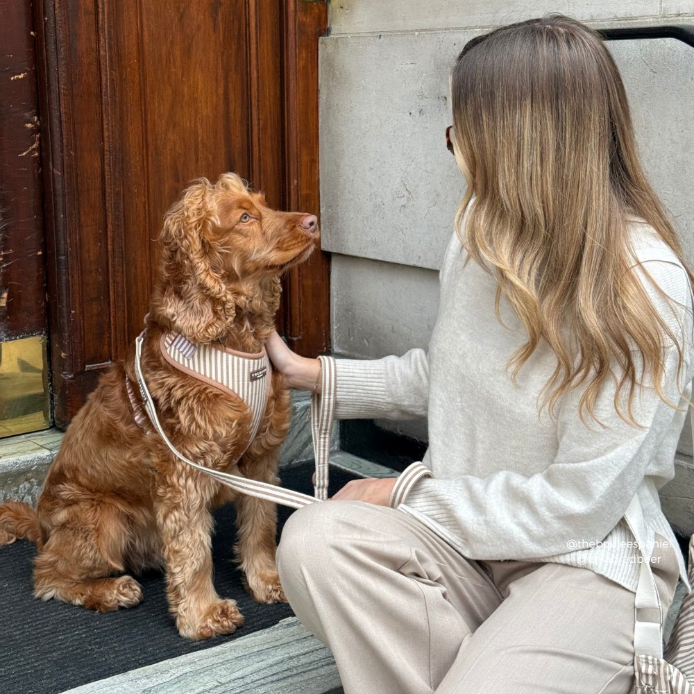 London Linen Stripes Lead