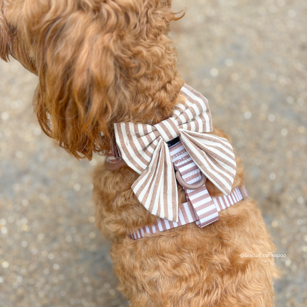 London Linen Stripes Sailor Bow Tie