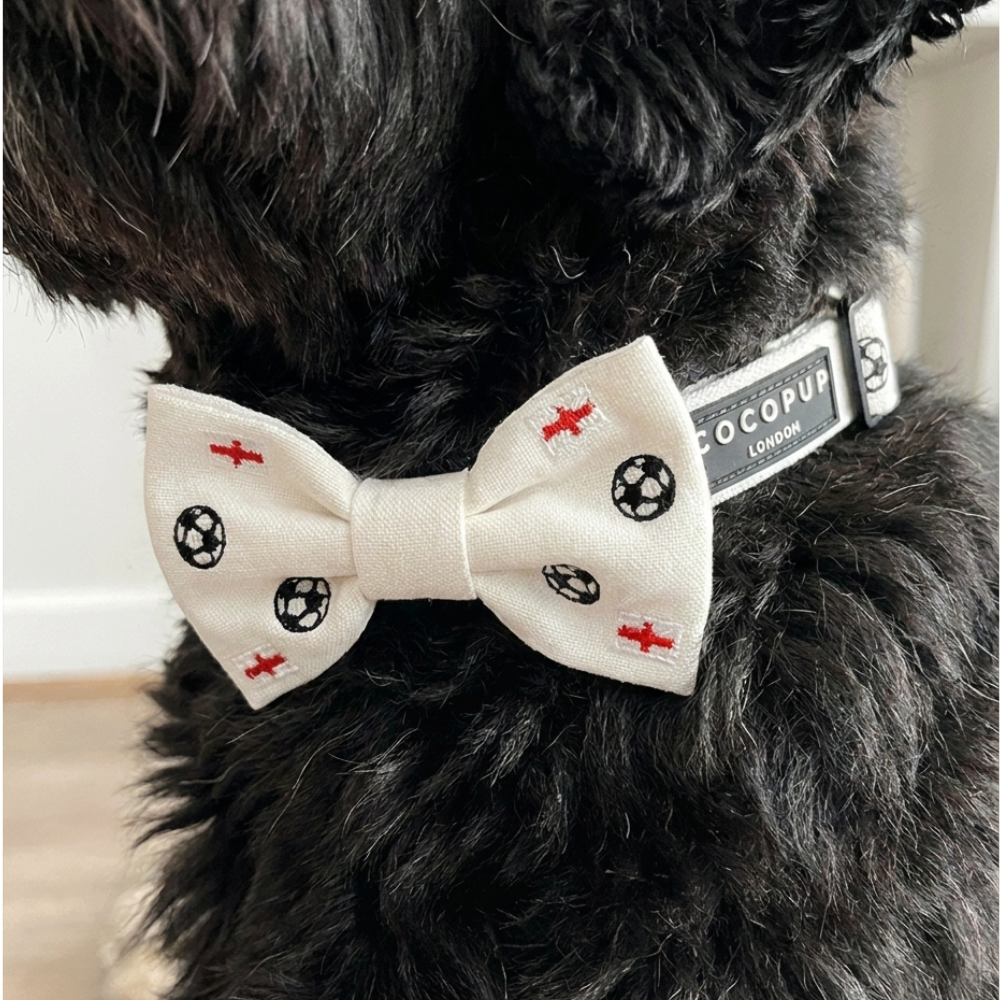 Match Day Pup Bow Tie