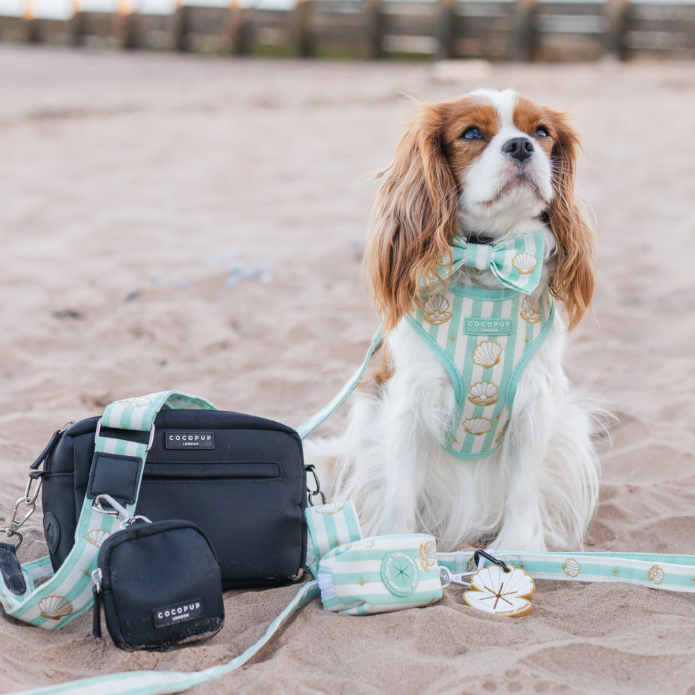 Mermaid Pearl Pup Adjustable Neck HARNESS