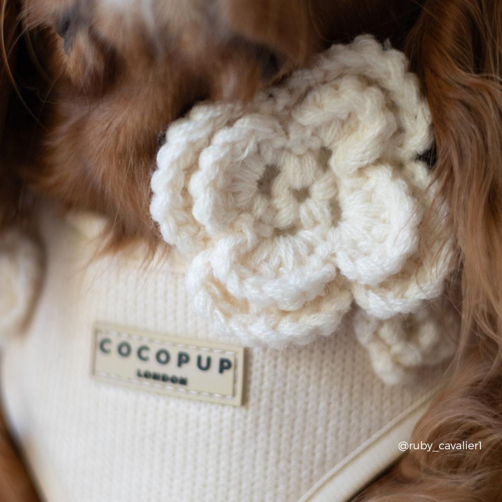 Petal Patch Collar Flower