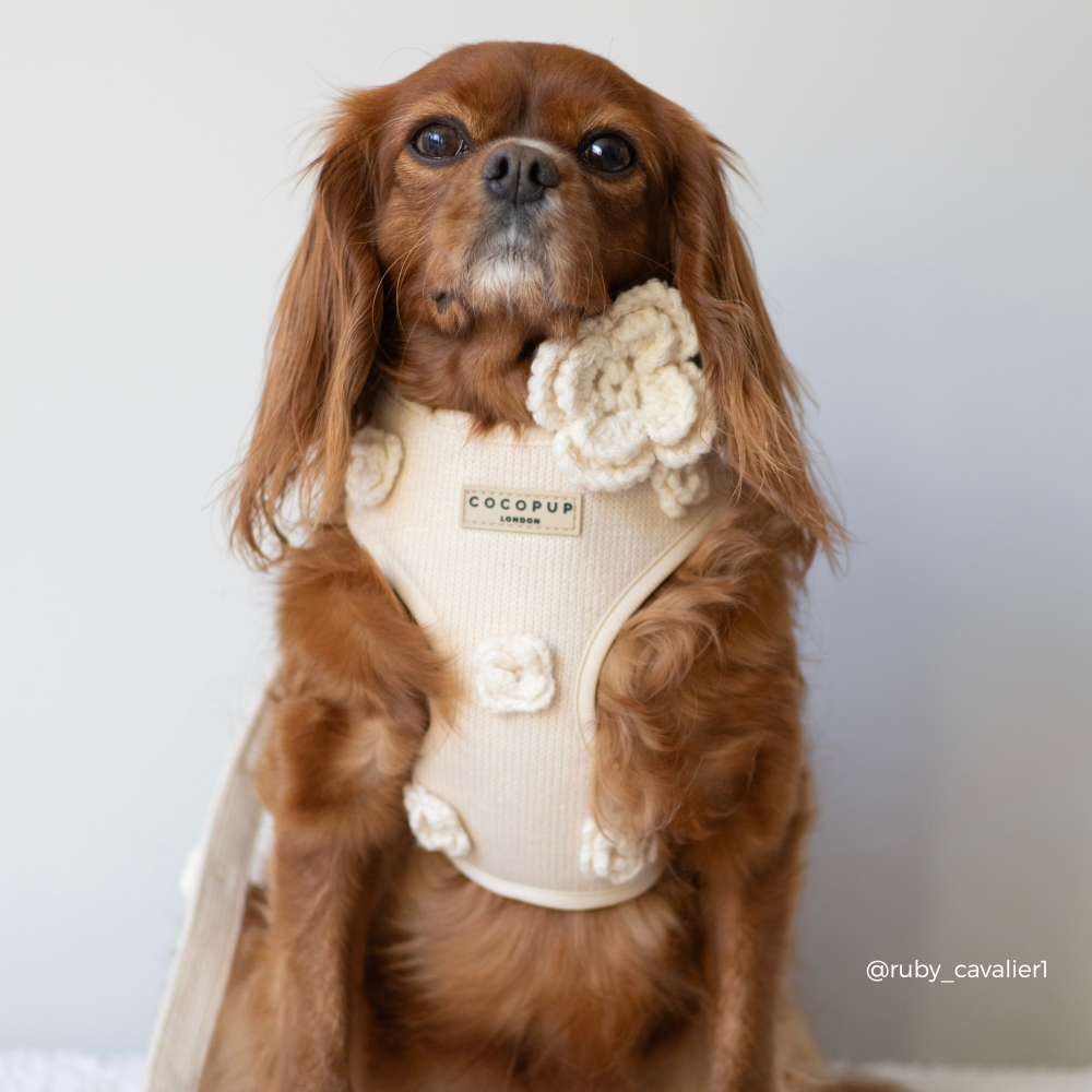 Petal Patch Adjustable Neck HARNESS