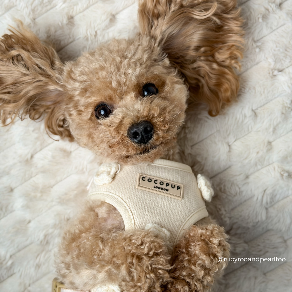 Petal Patch Adjustable Neck HARNESS